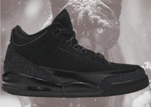 Air Jordan 3 Black Cat 2025 CT8532-001