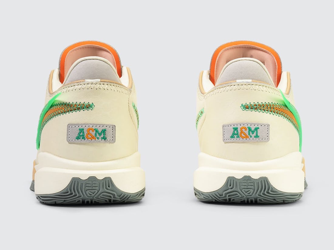 APB Nike LeBron 20 FAMU FN8263-100