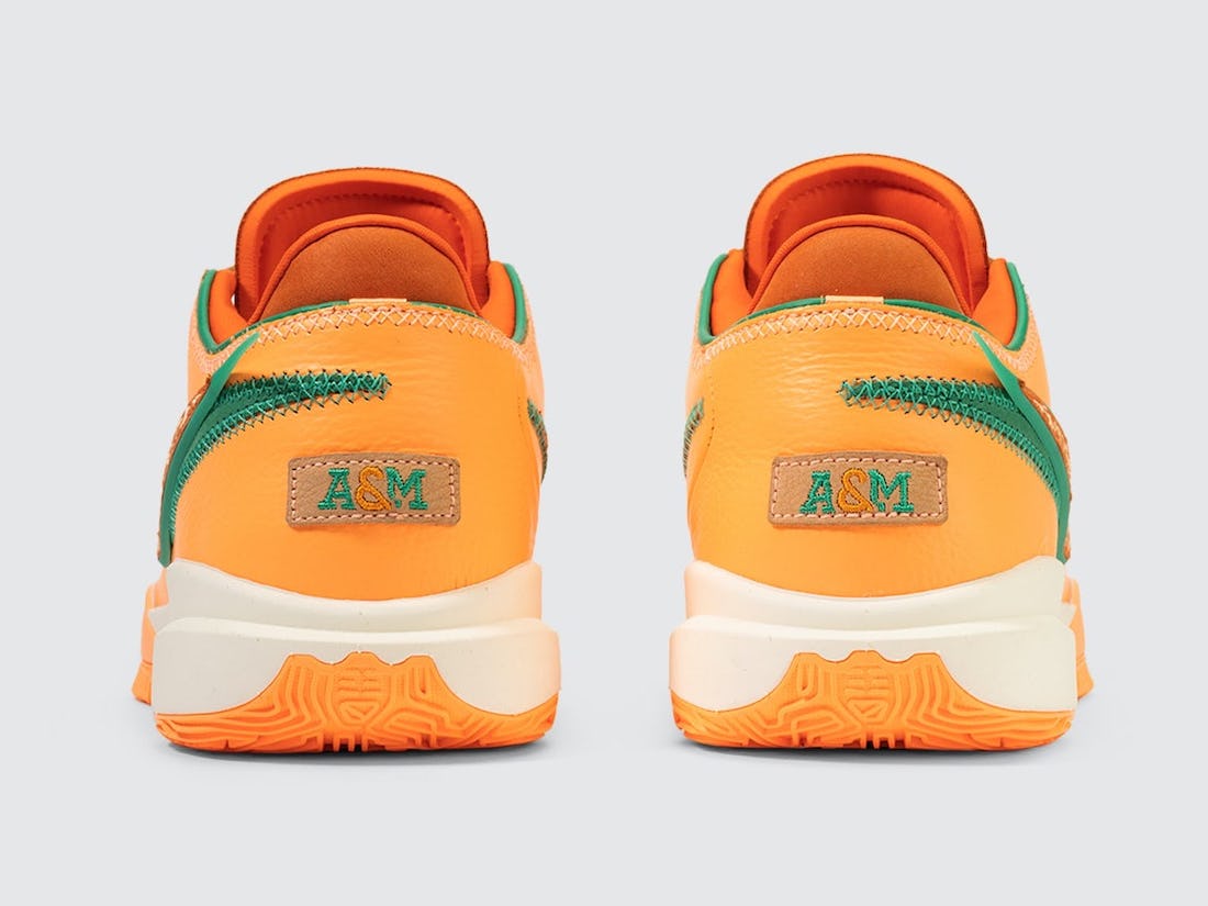 APB Nike LeBron 20 FAMU FN8263-800